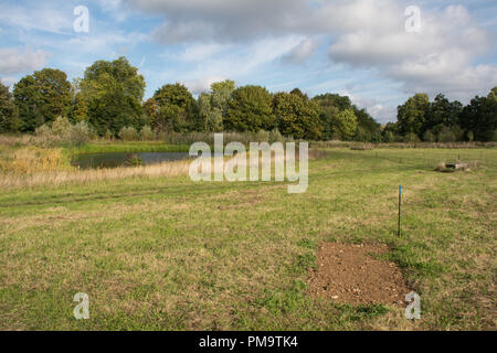 Clandon Holz Nature Reserve & Natürliche Gräberfeld in Surrey, UK - einfache Grab in der Nähe des Sees Stockfoto