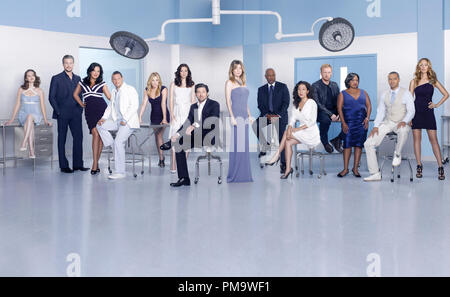 Grey's Anatomy - ABC's 'Grey's Anatomy' Stars Sarah zog im April Kepner, Eric Dane als Mark Sloan, Sara Ramirez als Callie Torres, Justin Chambers als Alex Karev, Jessica Capshaw als Arizona Robbins, Chyler Leigh als Lexie Grey, Patrick Dempsey als Derek Shepherd, Ellen Pompeo als Meredith Grey, James Pickens Jr. als Richard Webber, Sandra Oh als Cristina Yang, Kevin McKidd, die Owen Hunt, Chandra Wilson als Miranda Bailey, Jesse Williams als Jackson Avery und Kim Raver als Teddy Altman. Stockfoto