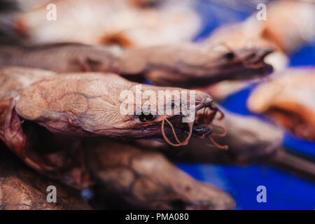 Geräucherter Fisch in der Marke. Wels Kipper. Stockfoto