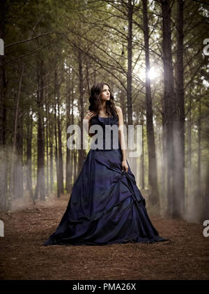 The Vampire Diaries Staffel 2 (2010-2011) Nina Dobrev Stockfoto