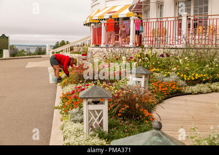 Weibliche Gärtner beugte sich tendenziell die Gärten vor dem Grand Hotel auf Mackinac Island, Michigan. Stockfoto