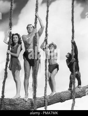 Johnny Weissmuller, Maureen O'Sullivan, Johnny Sheffield, 'Tarzan findet einen Sohn!', 1939 MGM Datei Referenz # 32263 651 THA Stockfoto