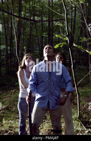 Jessie (Eliza Dushku, links), Chris (Desmond Harrington) und Carly (Emmanuelle Chriqui) reagieren auf eine Bedrohung von oben. "Wrong Turn" (2003) Stockfoto