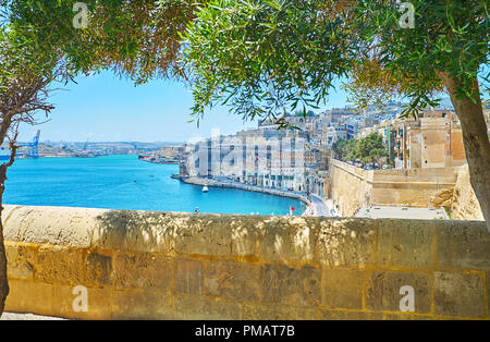 Der Viewpoint Terrasse der unteren Barrakka Gärten im Schatten der Olivenbäume und mit Blick auf die mittelalterliche Stadtmauer und Gebäude von Valletta, Malta. Stockfoto