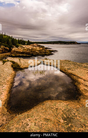 Sandstrand von Otter Cliff Acadia National Park, Mount Desert Island, Maine, USA Stockfoto