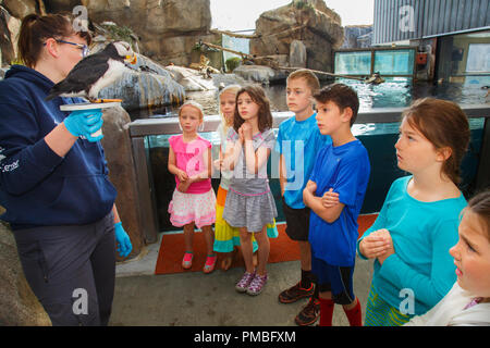 Kinder im Alaska SeaLife Center. Seward, Alaska. Stockfoto