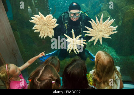 Kinder im Alaska SeaLife Center. Seward, Alaska. Stockfoto