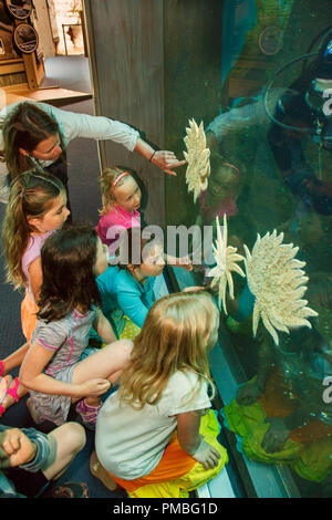 Kinder im Alaska SeaLife Center. Seward, Alaska. Stockfoto