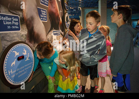 Kinder im Alaska SeaLife Center. Seward, Alaska. Stockfoto