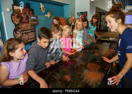 Kinder im Alaska SeaLife Center. Seward, Alaska. Stockfoto