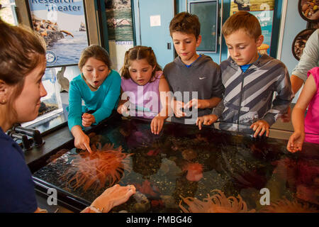 Kinder im Alaska SeaLife Center. Seward, Alaska. Stockfoto