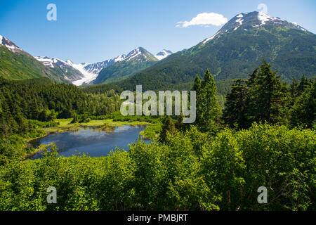 Alaska Railroad Glacier Discovery Zugfahrt, Chugach National Forest, Alaska. Stockfoto