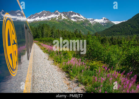 Alaska Railroad Glacier Discovery Zugfahrt, Chugach National Forest, Alaska. Stockfoto