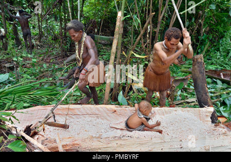 Menschen der nomadischen Wald Stamm Korowai Verarbeitung der sago Palmen (Metroxylon sagu). Stockfoto