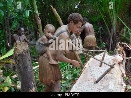 Menschen der nomadischen Wald Stamm Korowai Verarbeitung der sago Palmen (Metroxylon sagu). Stockfoto