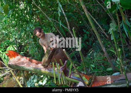 Frau der nomadischen Wald Stamm Korowai Verarbeitung der sago Palm. Sago wird aus der Palm extrahiert. Schleifen zu einem Mehl und dann waschen. Stockfoto