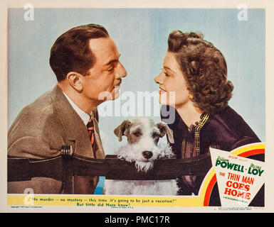 William Powell, Myrna Loy, Der dünne Mann nach Hause geht (MGM, 1945). Lobby Card Datei Referenz # 33595 228 THA Stockfoto