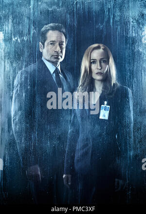 Die X-Akten: L-R: David Duchovny und Gillian Anderson in den X-Akten auf Fox. Stockfoto