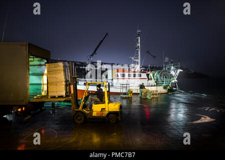 Ballycotton, Cork, Irland, 27. März 2017. Offloading von den Fang von Garnelen aus dem Trawler Western Venture auf Ballycotton Pier Co Cork. Einmal entladen Stockfoto