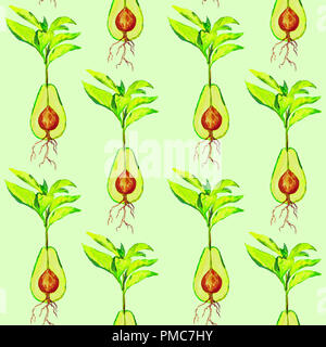 Grüne Avocado Sprossen mit Wurzeln, nahtlose Muster, Handgemalten Aquarell Abbildung Stockfoto