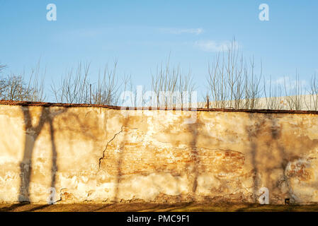 Gebäude von Big dirty verdrahtet Mauer umgeben. Baum Schatten an der Wand. Stockfoto