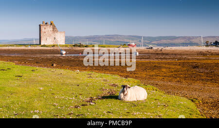 Lochranza Schloss, ein Turm aus dem 13. Jahrhundert Haus, steht am Strand Hafen beisde Lochranza auf der Isle of Arran in den Highlands von Schottland. Stockfoto