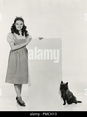 Judy Garland, Toto, in "Der Zauberer von Oz" (MGM, 1939). Foto von Clarence Sinclair Stier Datei Referenz # 33635 258 THA Stockfoto