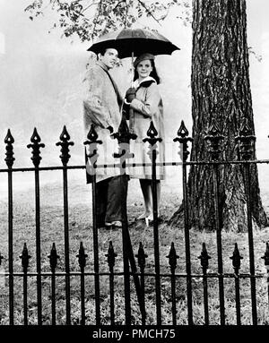 Natalie Wood, Warren Beatty, in der plendor im Gras", 1961, Warner Bros.-Datei Referenz # 33635 434 THA Stockfoto