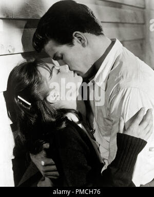 Natalie Wood, Warren Beatty, in der plendor im Gras", 1961, Warner Bros.-Datei Referenz # 33635 435 THA Stockfoto