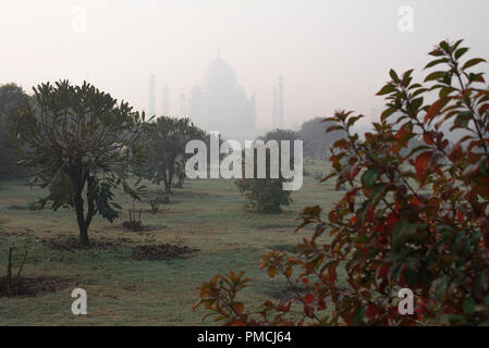 Taj Mahal die Wunder der Welt und der Stolz von Indien am frühen Morgen winter Licht und Dunst mit einem Garten als mehtab Bagh im Vordergrund bekannt Stockfoto