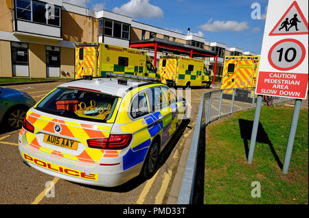 Queen Elizabeth Hospital, King's Lynn, Norfolk, England Stockfoto