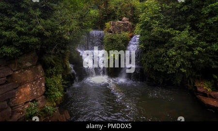 Penllergare Tal Wald Wasserfall Stockfoto