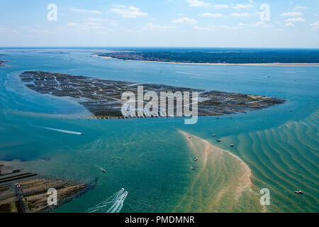 Bucht von Arcachon (Frankreich): Luftaufnahme der Austernbänke. Austernbänke der Sandbank in der Nähe der "Ile aux Oiseaux" (Bird's Island) (nicht verfügbar Stockfoto