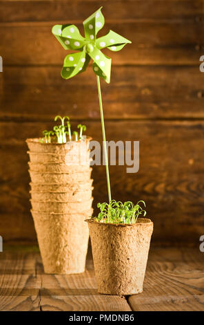 Topfpflanzen Sämlinge wachsen in Metall Topf und Garten Werkzeuge Stockfoto