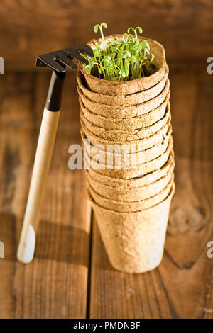 Biologisch abbaubare Töpfe und Rechen auf Holz- Hintergrund Stockfoto