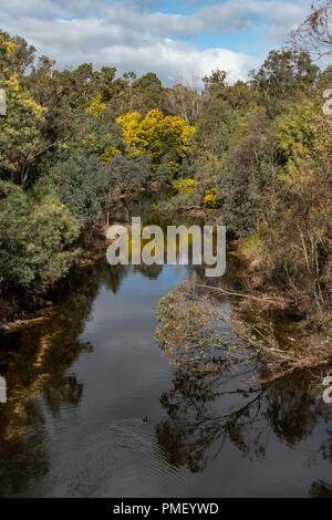 Collie River, Collie, WA, Australien Stockfoto