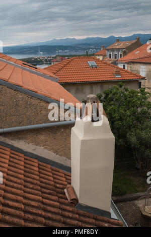 Orange Dächer der alten Häuser, die auf einem Hügel gebaut. Blick auf die Bucht der Adria. Berge im Hintergrund. Intensive Frühling Wolken. Stadt Omisalj ist Stockfoto