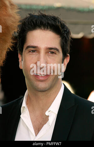 Madagascar 2: Escape Afrika Premiere David Schwimmer 10-26-2008/Mann Dorf Theater/Westwood, CA/DreamWorks/© Joseph Martinez/Picturelux - Alle Rechte vorbehalten File Reference # 23646 0006 PLX nur für redaktionelle Verwendung - Alle Rechte vorbehalten Stockfoto