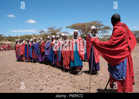 Eine Gruppe von Massai Frauen in ihren spektakulärsten Kostüme versammelt die traditionelle Eunoto ceremony in einem kommenden alt Zeremonie für junge Krieger in der Masai Stamm in der Ngorongoro Conservation Area im Krater im Hochland von Tansania Ostafrika ausgeführt werden Stockfoto