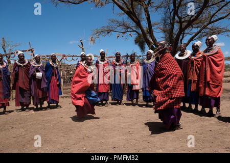 Eine Gruppe von Massai Frauen in ihren spektakulären Kostümen tanzen während der traditionellen Eunoto ceremony in einem kommenden alt Zeremonie für junge Krieger in der Masai Stamm in der Ngorongoro Conservation Area im Krater im Hochland von Tansania Ostafrika durchgeführt Stockfoto