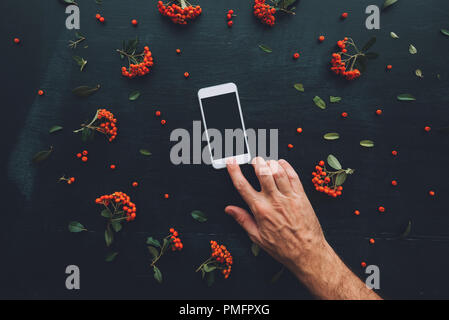 Flach hand mit Bildschirm des Smartphones mock up auf dunklem Hintergrund mit Blumenschmuck Stockfoto