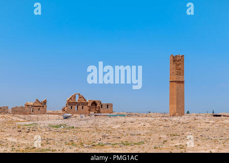 Ruinen der Universität in Harran. Es war eine der wichtigsten Ayyubid Gebäude der Stadt, in der klassischen Revival Stil gebaut. Sanliurfa, Türkei Stockfoto