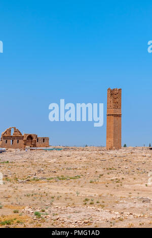 Ruinen der Universität in Harran. Es war eine der wichtigsten Ayyubid Gebäude der Stadt, in der klassischen Revival Stil gebaut. Sanliurfa, Türkei Stockfoto