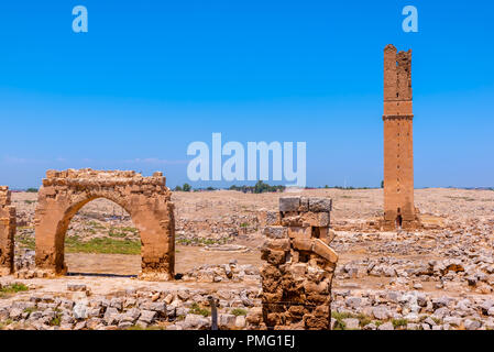 Ruinen der Universität in Harran. Es war eine der wichtigsten Ayyubid Gebäude der Stadt, in der klassischen Revival Stil gebaut. Sanliurfa, Türkei Stockfoto