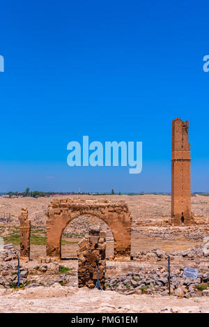 Ruinen der Universität in Harran. Es war eine der wichtigsten Ayyubid Gebäude der Stadt, in der klassischen Revival Stil gebaut. Sanliurfa, Türkei Stockfoto