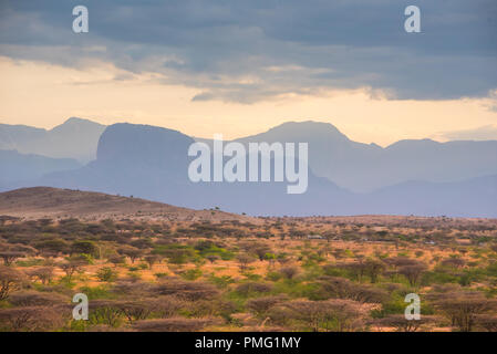 Wüste Strauch - gefüllte Ebenen im Abendlicht vor dem Hintergrund eines blauen zerklüfteten Bergkette in der Nähe von Marsabit im Norden Kenias Kaisut Wüste, Stockfoto