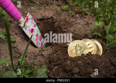 Bitcoin, Litecoin und des Astraleums physisches Gold Münzen warten in der Erde im Garten begraben zu werden. Holding cyprocurrency abstraktes Konzept. Stockfoto