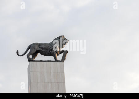 Die Statue eines Löwen in Bratislava, Slowakei Stockfoto