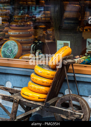 Dutch Cheese Shop - holländische Gouda-Käsesorten außerhalb eines Käsespeichers im Zentrum der Niederlande in Rotterdam Stockfoto