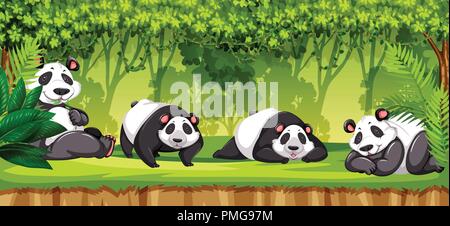 Satz von pandas in Dschungel Abbildung Stock Vektor